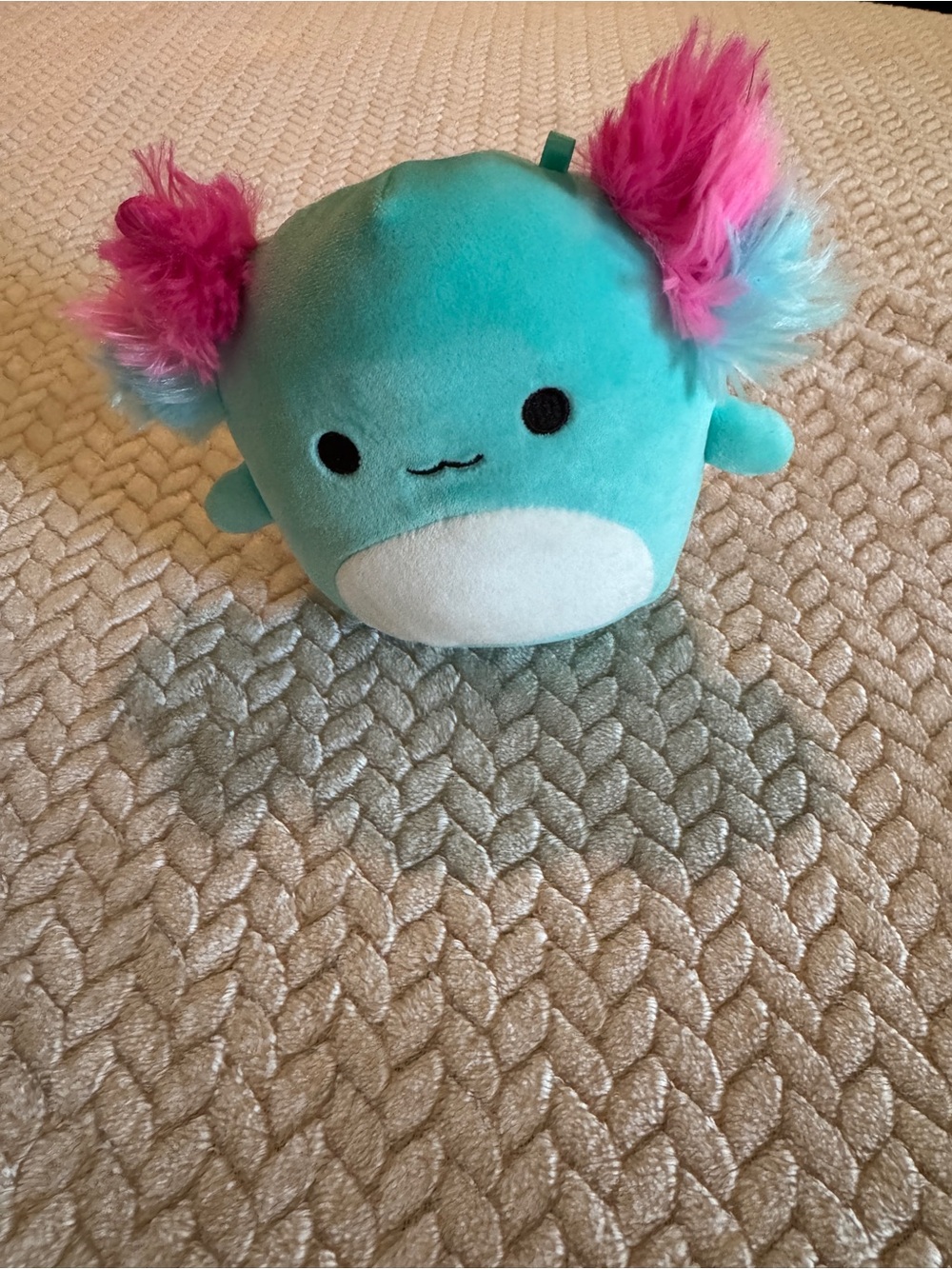 Squishmallows Anastasia the‎ Axolotl 5 Inch Teal Pink Fuzzy Gills Plush Toy